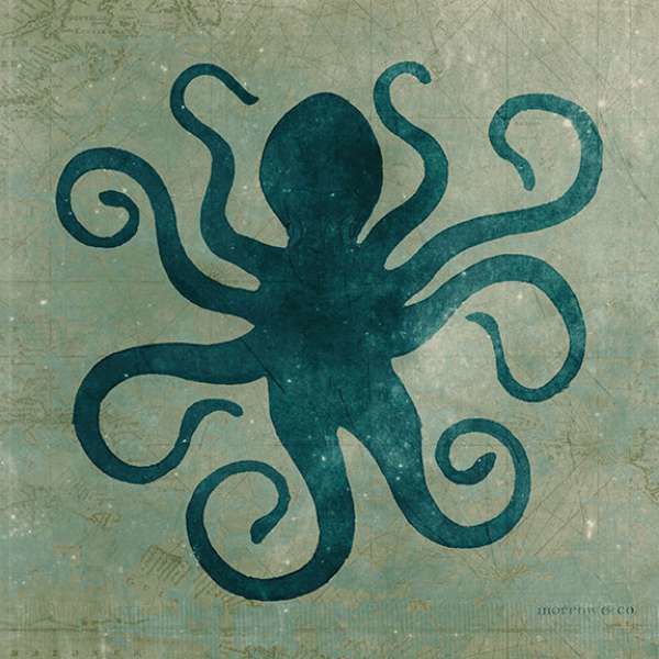 ppam-0165-octopus.jpg
